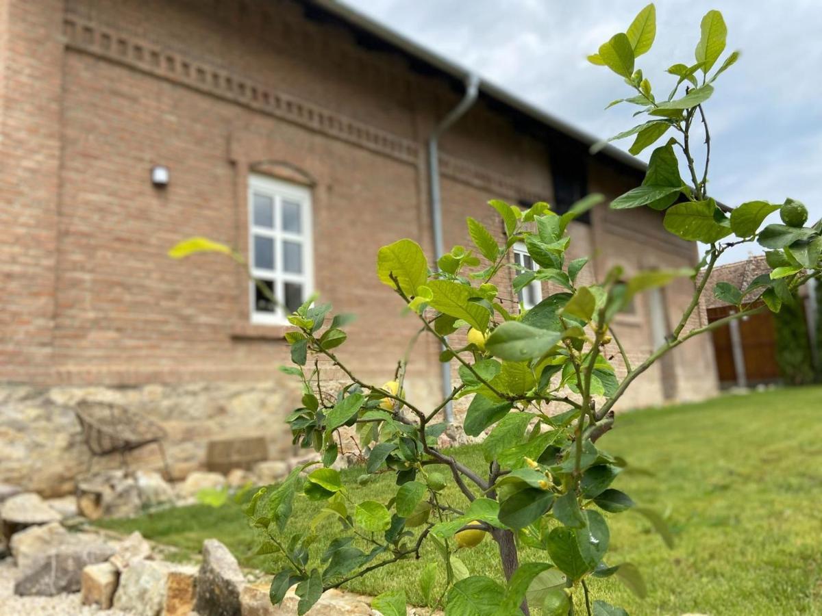 Magtar Villa Bóly Eksteriør billede